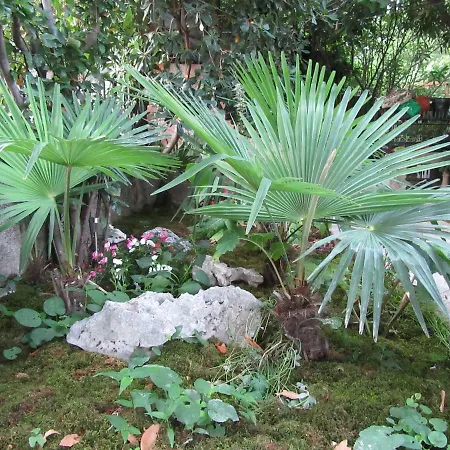 Appartamento Romeo *