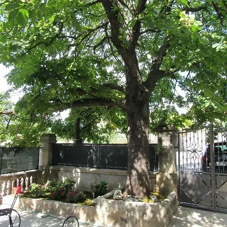 Romeo Rijeka