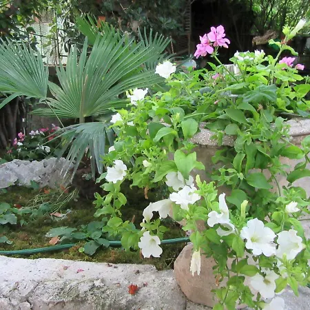 Apartamento Romeo